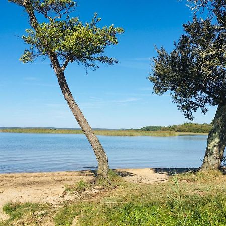 Maisonnette A 300 M Du Lac De Biscarrosse Εξωτερικό φωτογραφία